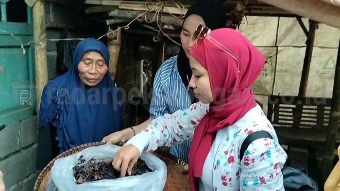 Banyak Potensi, Rintisan Deswita Besani Terus Tunjukkan Prestasi