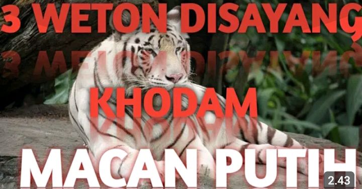 Top 3 Primbon Jawa: Miliki Khodam Macan Putih Bikin 3 Weton Ini Selalu Terhindar dari Malapetaka, Cek Wetonmu!