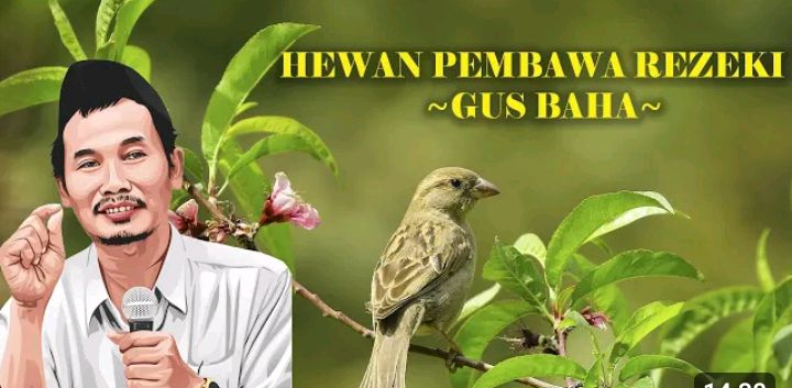 Bisa Jadi Perantara Cepat Terkabulnya Doa dan Rezeki Berlimpah Gus Baha: Segera Pelihara 3 Hewan Ini di Rumah