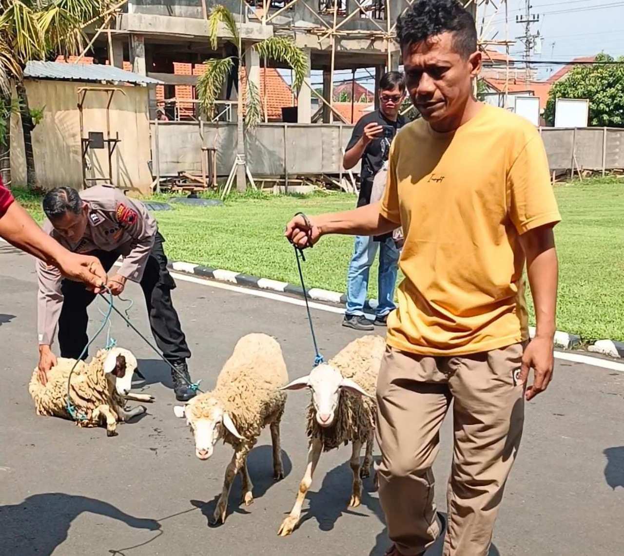 Polisi Batang Bekuk Komplotan Pencuri 38 Kambing BUMDes di Warungasem yang Beroperasi via Tol Trans Jawa