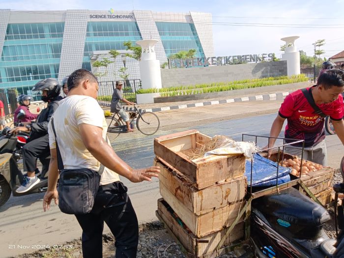 Ratusan Telur Pecah di Jalan, 2 Motor Tergelincir di Jalan Raya Karanganyar Pekalongan