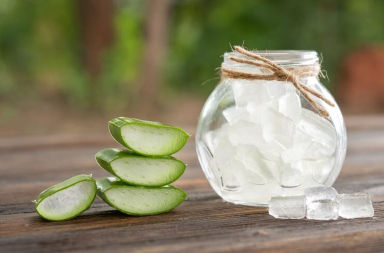 DIY Skincare Lidah Buaya untuk Memutihkan Wajah 2 Kali Lebih Cepat