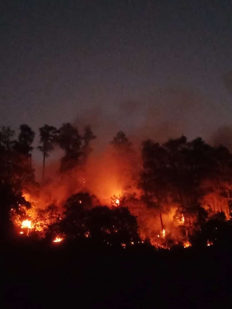 Medan Ekstrem, Kebakaran Hutan di Sijaha Tak Terkendali, 10 Hektare Hutan Terbakar