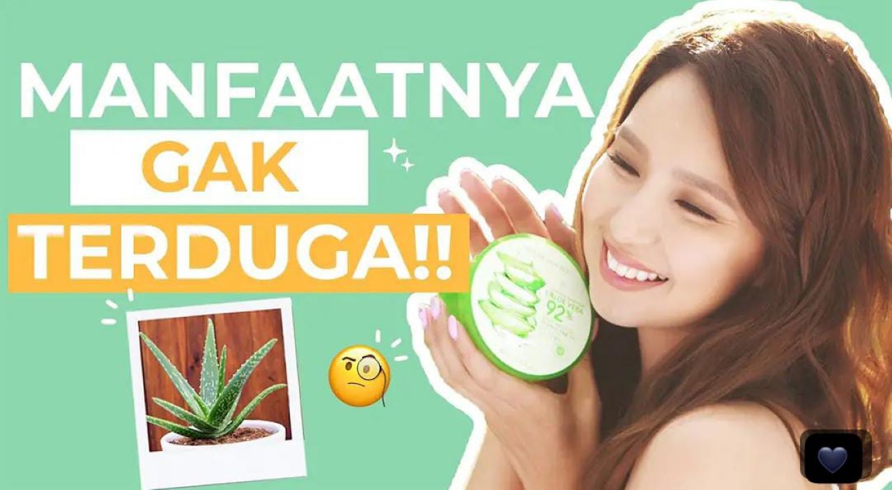 Ini Jadinya Pakai Masker Lidah Buaya untuk Wajah Setiap Hari, Beneran Bikin Wajah Glowing dan Cerah Bercahaya?