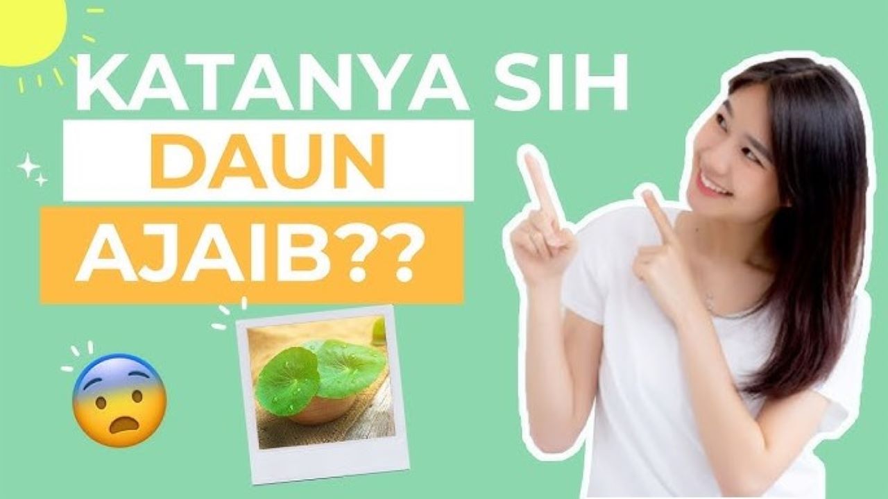Cara Menggunakan Daun Pegagan untuk Kecantikan Kulit, 1 Bahan Kaya Manfaat 