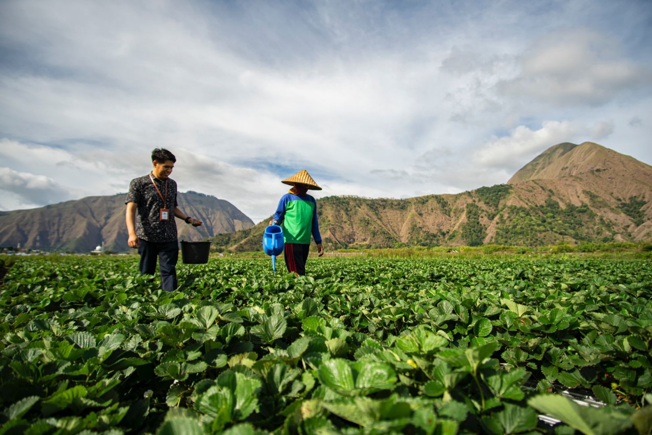 BRI Salurkan KUR Rp27,72 Triliun dalam 2 Bulan, Bukti Keberpihakan Nyata untuk UMKM dan Ekonomi Rakyat