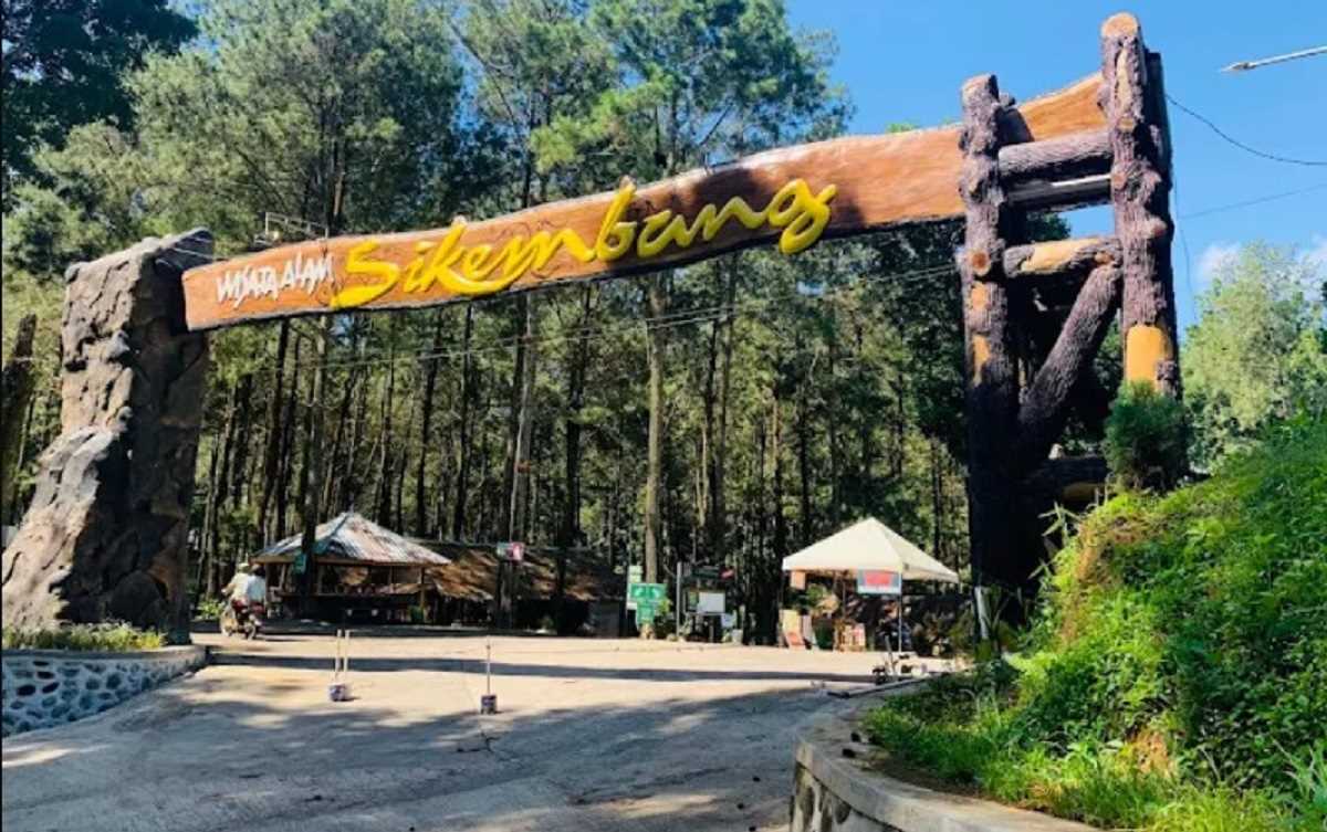 Menilik Wisata Alam Sikembang Park Batang! Liburan Lengkap di Tengah Hutan Pinus yang Instagramable