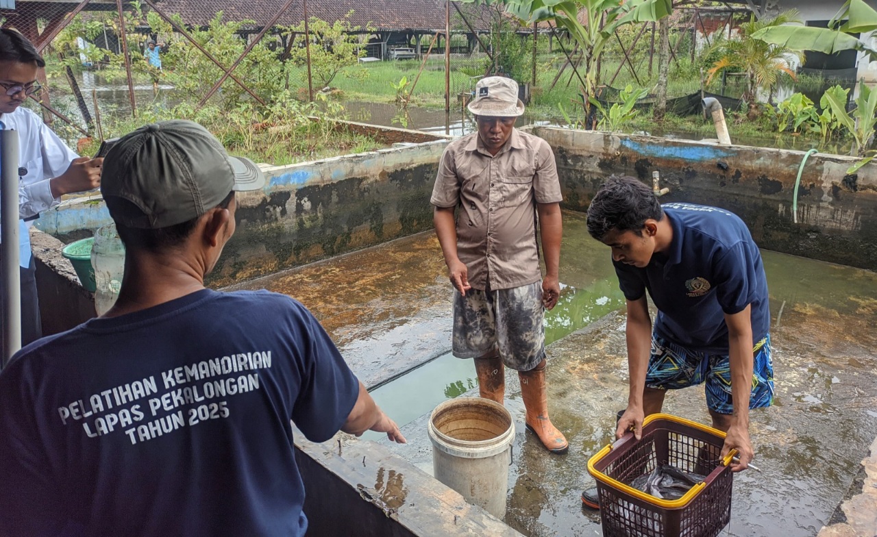 Wujudkan 15 Program Aksi Menteri, Lapas Pekalongan Warnai Panen Raya Serentak se-Indonesia