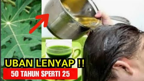 Begini Cara Menghilangkan Uban dengan Daun Pepaya, Tips Rambut Hitam Permanen Tanpa Dicabut dalam 2 Langkah