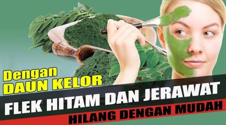 Daun Kelor Ditambahkan Air Mawar Viva Bikin Wajah Cerah Bebas Flek Hitam, Ini Cara Membuat dan Manfaat Lainnya