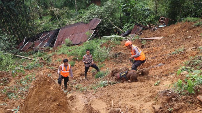 Korban Meninggal Longsor Petungkriyono Pekalongan Bertambah 20 Orang, Bayi Abyaz Ditemukan Meninggal