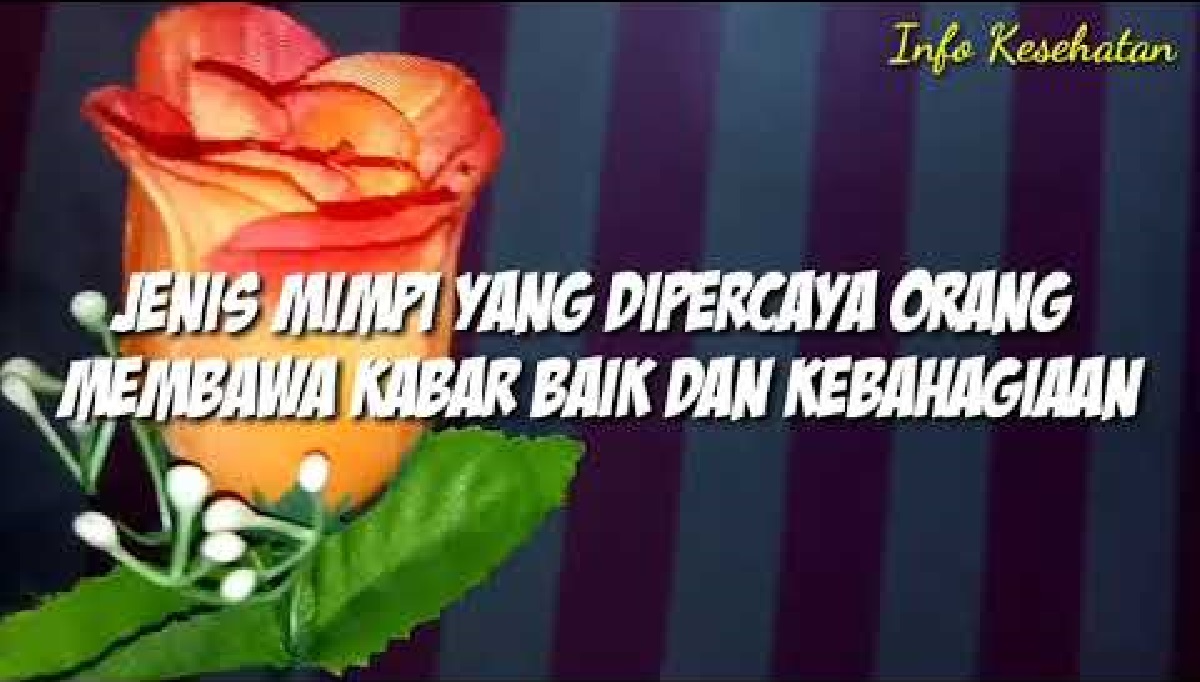 Inilah 10 Arti Mimpi Pertanda Kabar Baik dan Kebahagiaan Menurut Primbon Jawa, Kalian Pernah Memimpikannya?