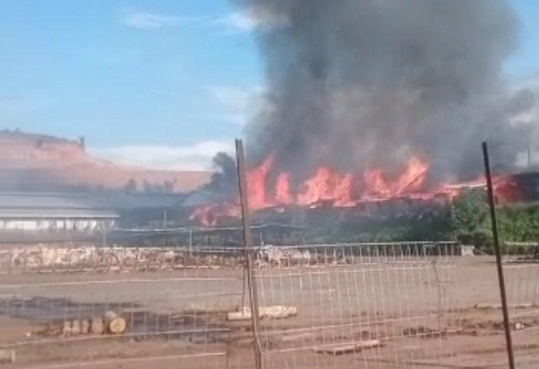 Pabrik Kayu Lapis di Batang Kebakaran, Kerugian Ditaksir Capai Miliaran Rupiah