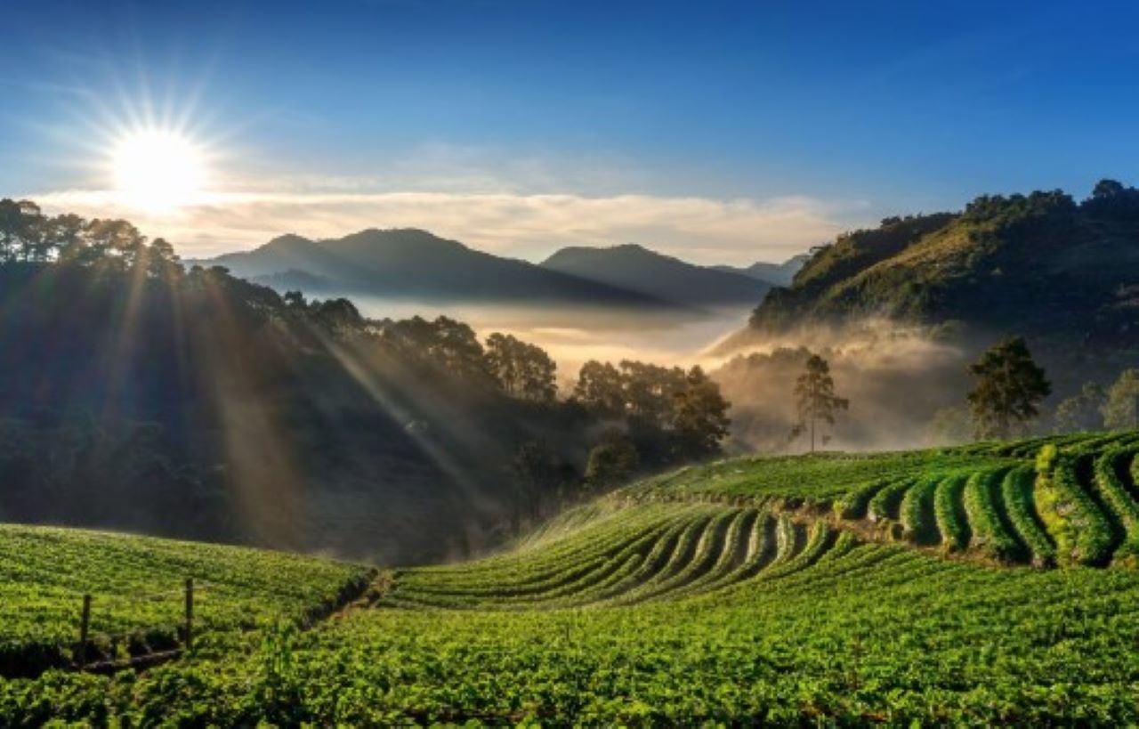 4 Rekomendasi Wisata Alam di Batang yang Wajib Dikunjungi, Cocok untuk Melepas Penat 