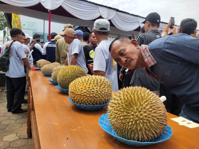 Mumpung Musim Durian, Yuk Ajak Anak Berburu Durian, Ini 5 Manfaat Durian untuk Anak