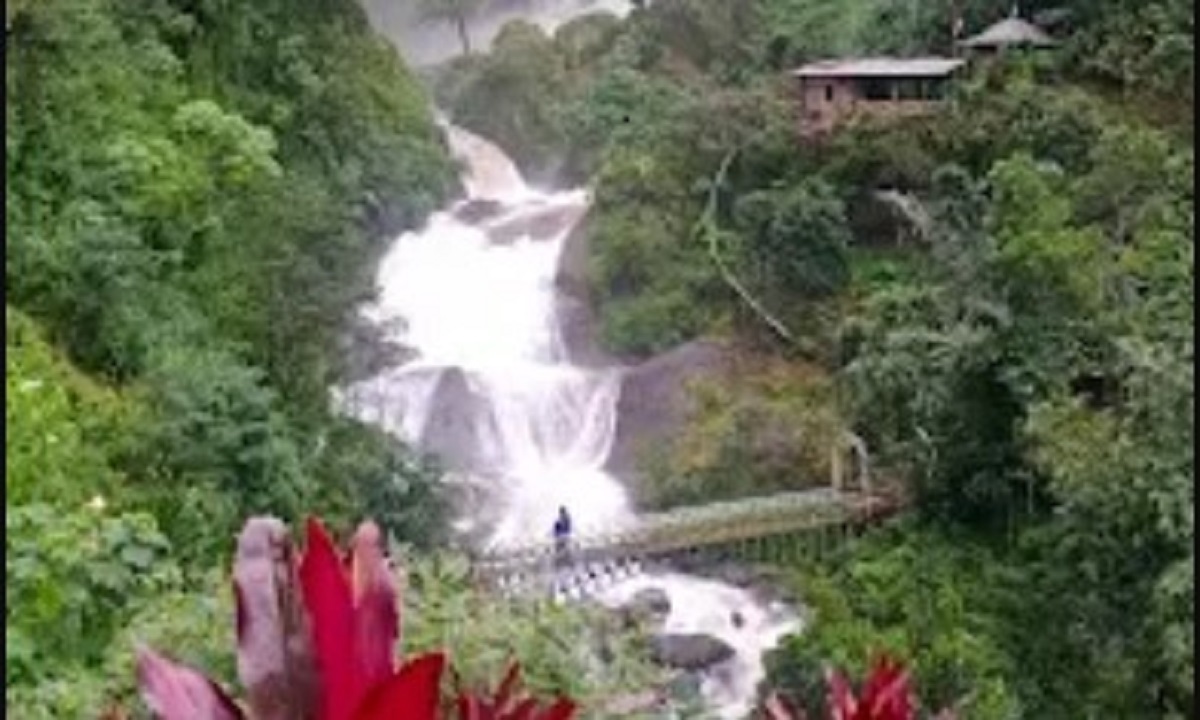 Wisata Curug Bajing Pekalongan: Surga Tersembunyi dengan Air Terjun 75 Meter dan Wahana Adrenalin
