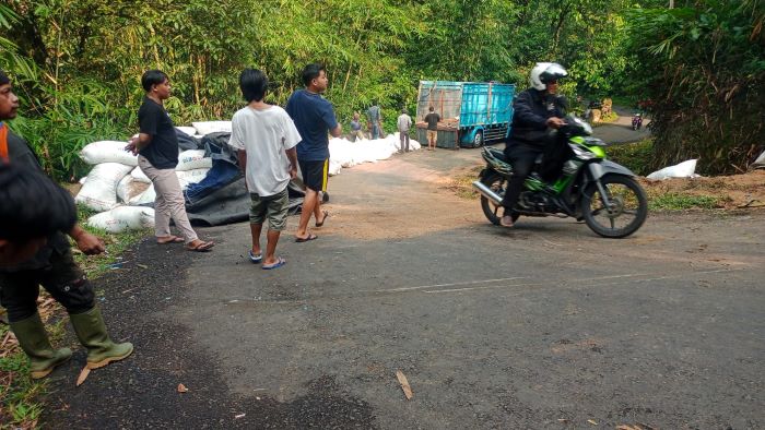 Truk Pupuk Terguling di Jalur Petungkriyono Pekalongan Ternyata Ikuti Google Maps