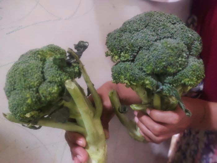 Miliki Kandungan Kalsium untuk Tumbuh Kembang Anak, Inilah 6 Manfaat Mengonsumsi Brokoli untuk Anak