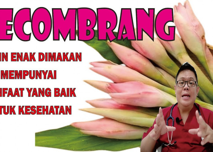 Yuk Simak 7 Manfaat Kecombrang untuk Kesehatan Tubuh, Rasakan Khasiatnya