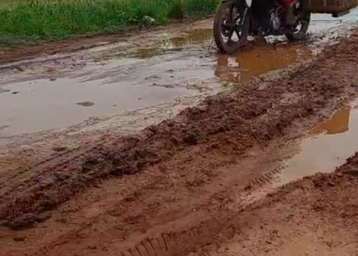 Warga Keluhkan Jalan Babadan Pait, Bak Kubangan Lumpur di Sawah