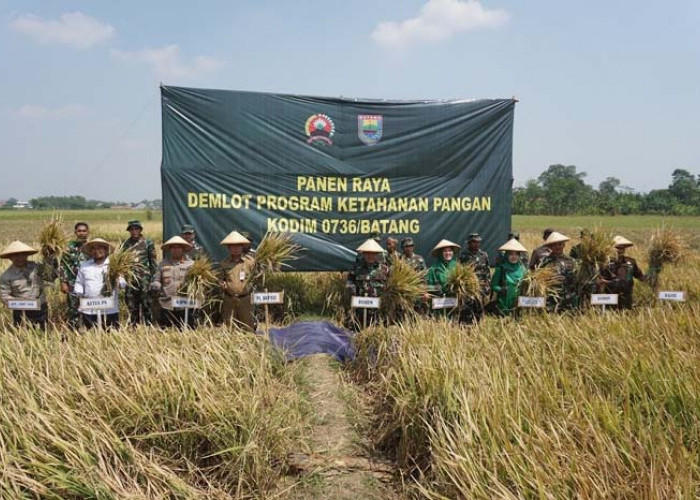 TNI Siap Bagikan Bibit Padi Protani Secara Gratis