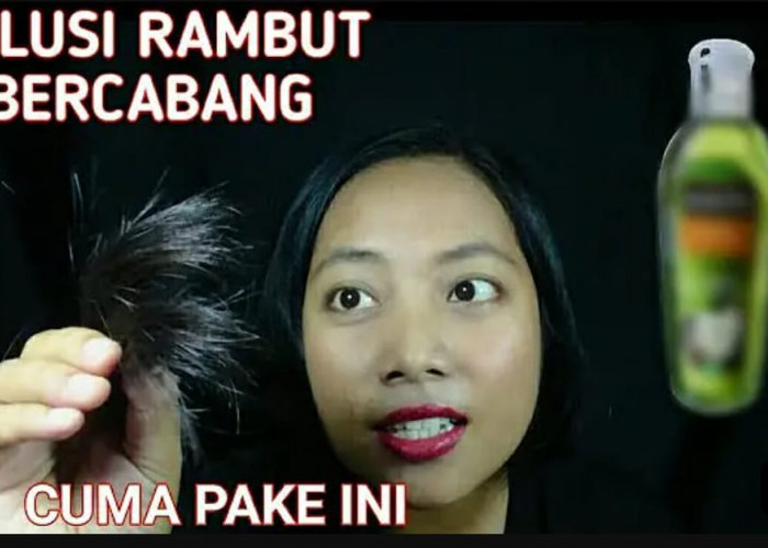 3 Cara Menghilangkan Rambut Bercabang Dengan Bahan Alami Agar Sehat Berkilau