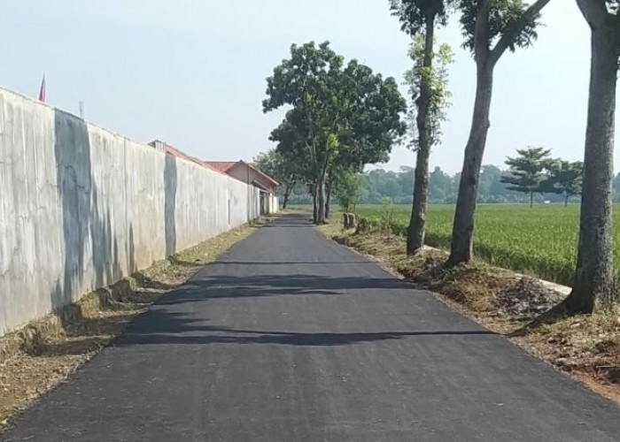 Pembangunan Jalan TMMD Sengkuyung 1 Buat Masyarakat Desa Rejosari Senang, Dalane Dadi Halus