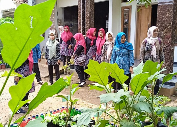 Ketua TP PKK Kabupaten Pekalongan Apresiasi Desa Rogoselo dalam Pemanfaatan Lahan dalam Lomba Aku Hatinya
