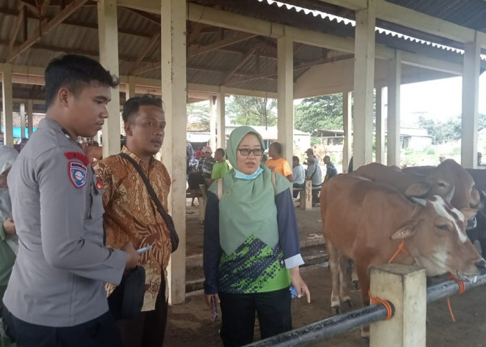 Waspada, 5 Kecamatan di Batang Ini Masuk Zona Merah PMK, Vaksinasi Hanya Sasar Zona Hijau