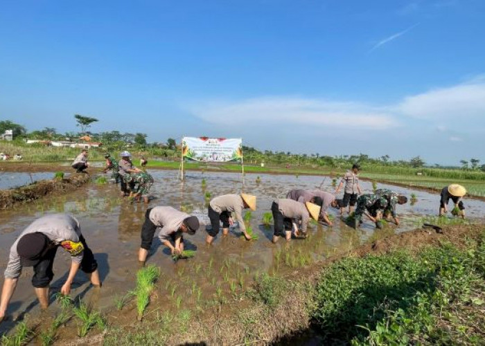 Dukung Program Ketahanan Pangan, Polres Pekalongan Implementasi Asta Cita Presiden RI