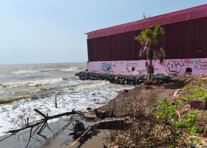 Dua Hektare Lahan Wisata Pantai Sigandu Batang Terendam Rob, Pemkab Siapkan Penataan 
