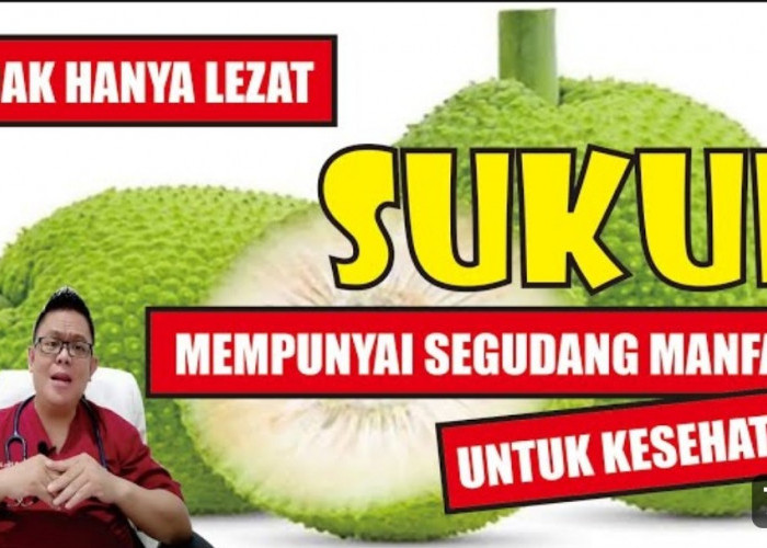 Ini Dia 6 Khasiat Buah Sukun untuk Asam Urat dan Kolesterol