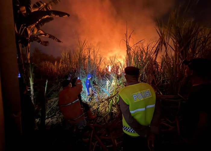 Kebun Tebu Seluas 1 Hektar di Bojong Terbakar Tengah Malam