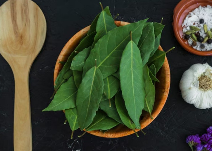 Cara Gampang Terhindar dari Kolesterol Tinggi Hanya Menggunakan Obat Herbal yang Tersedia di Dapur