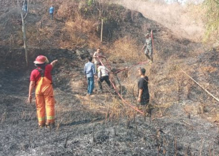 4 Kasus Kebakaran di Kabupaten Pekalongan dalam Sehari, Karhutla Mendominasi