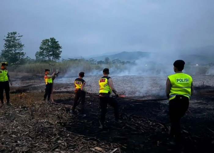 Lahan Pembuangan Limbah Kayu di Kajen Terbakar, Api Diduga Berasal dari Pembakaran Sampah Sisa Tebu