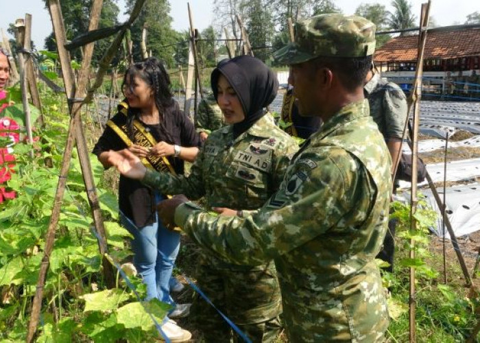 TNI AD Bangun Kompi Produksi Pangan di Seluruh Indonesia, Kodim Pekalongan Terapkan Sistem Pertanian Terpadu