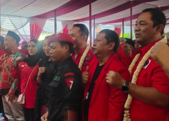 Andika M Perkasa-Hendrar Prihadi Mampu Dongkrak Suara di Pekalongan, PDIP Optimis Menang Pilkada di Pekalongan