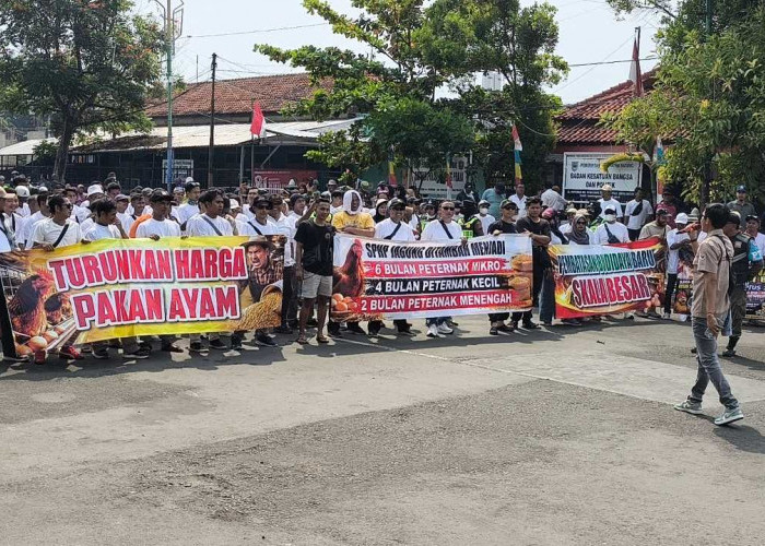 Ratusan Peternak Ayam Petelur di Batang Gelar Aksi Damai, dan Bagikan Ratusan Ayam