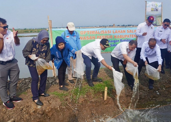 Rencana Pembangunan Giant Sea Wall hingga Batang Terus Dimatangkan, Ini Tantangannya