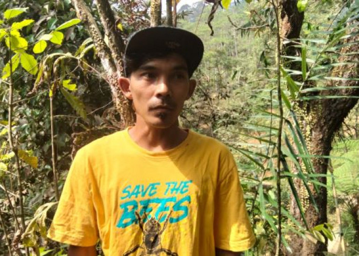 Warga Pegunungan Mendolo Kerap Temui Jejak Macan, dari Tapak Kaki hingga Auman di Malam Hari