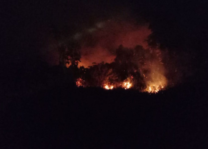 Kebakaran Lahan Perkebunan Karet di Blok Siraong Afdeling Buwaran di Desa Pekiringan Ageng Pekalongan
