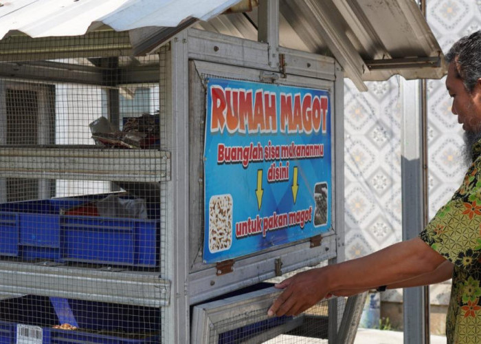Kelola Sampah Organik, KSM Gemilang Pekalongan Bangun Ekosistem Lingkungan Berkelanjutan