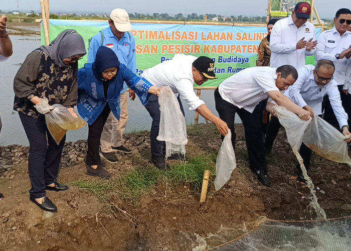 Bupati Faiz: Tidak Ada Lahan Mati, Bio Salin Jadi Harapan Baru Petani Pesisir Batang