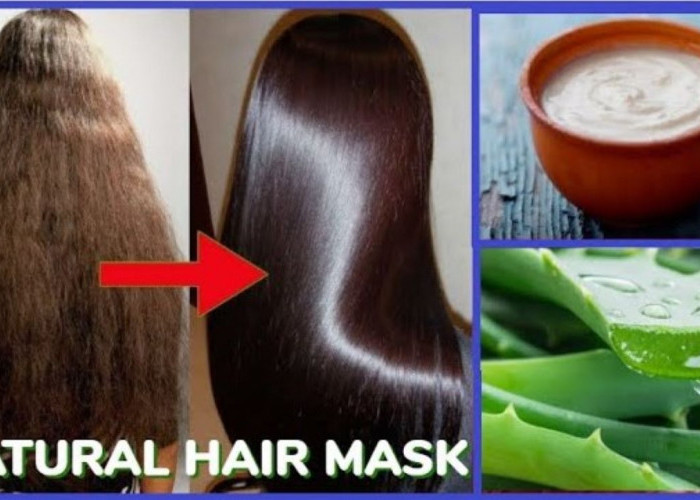 DIY Masker untuk Memanjangkan dan Menghaluskan Rambut, Modal 3 Bahan Alami Saja!