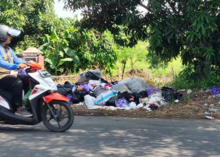 Spot-spot Pembuangan Sampah Bermunculan di Pinggir Jalan di Kabupaten Pekalongan