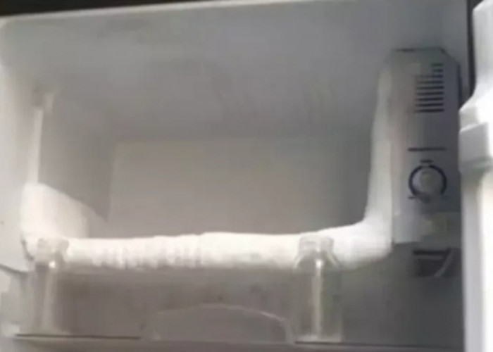 Cara Membersihkan Bunga Es di Kulkas, Tak Perlu Ribet, Cukup 10 Menit sudah Bersih