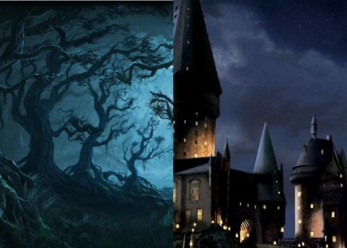 Tidak Seharusnya Dikunjungi! Ini 5 Tempat Terlarang di Seri Novell Harry Potter Karya J.K. Rowling