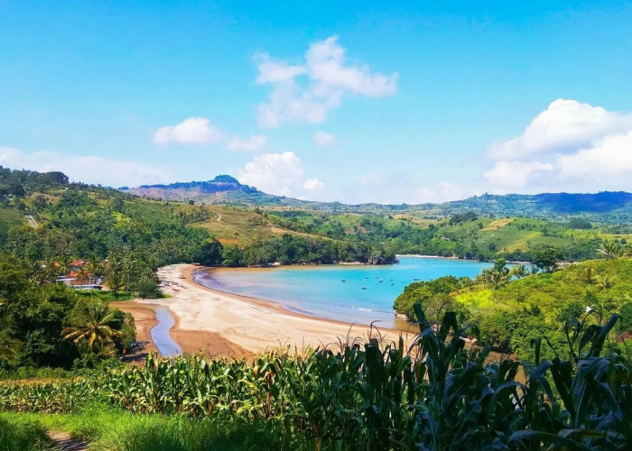 Cocok untuk Melepas Penat, 5 Pantai Pasir Putih di Tulungagung Ini Siap Membuat Liburanmu Berkesan!