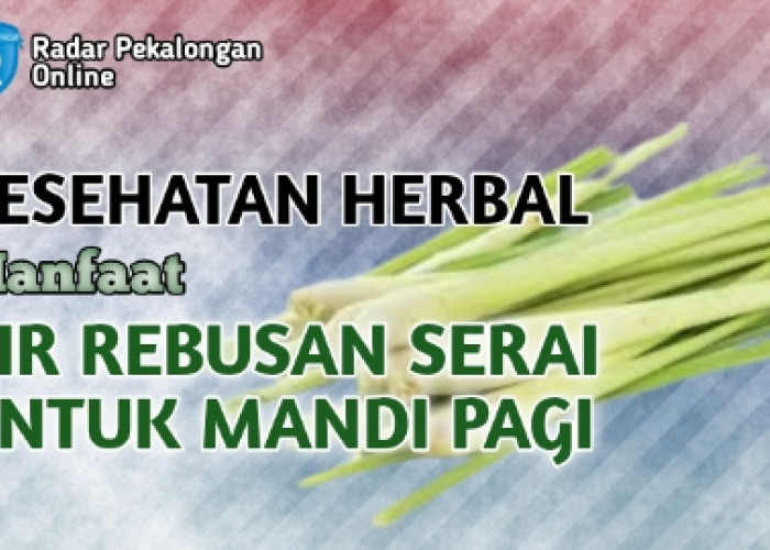 Ini Daftar Manfaat Air Rebusan Serai Untuk Mandi Pagi bagi Kesehatan yang Bisa Kamu Dapat, Apa Saja?